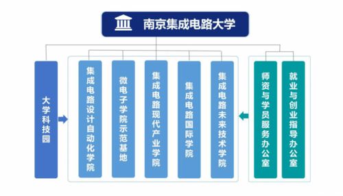 電子信息類專業(yè) 探索芯片世界與軟件開發(fā)的核心橋梁